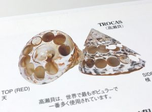 服裝輔料 | 上海褲洛布貿(mào)易有限公司